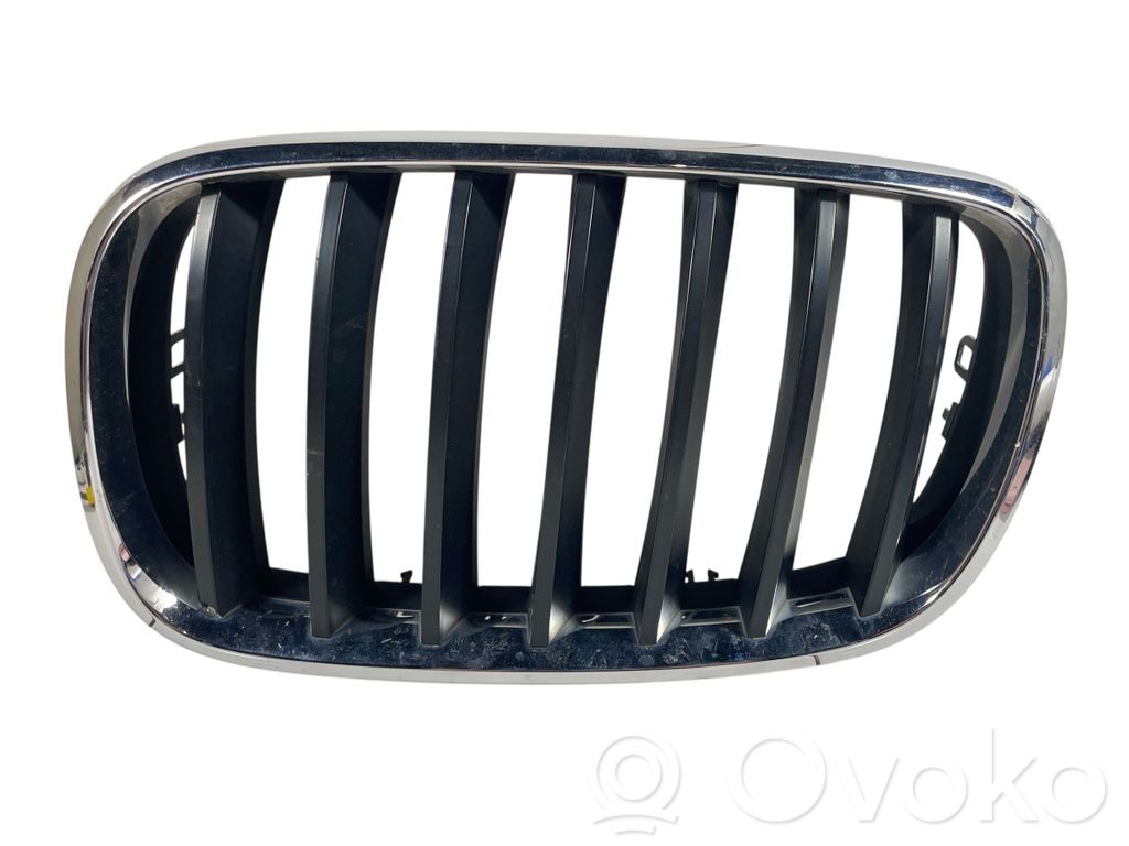 BMW X5 E70 Front bumper upper radiator grill 