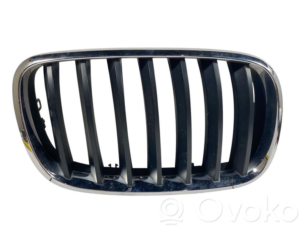 BMW X5 E70 Front bumper upper radiator grill 