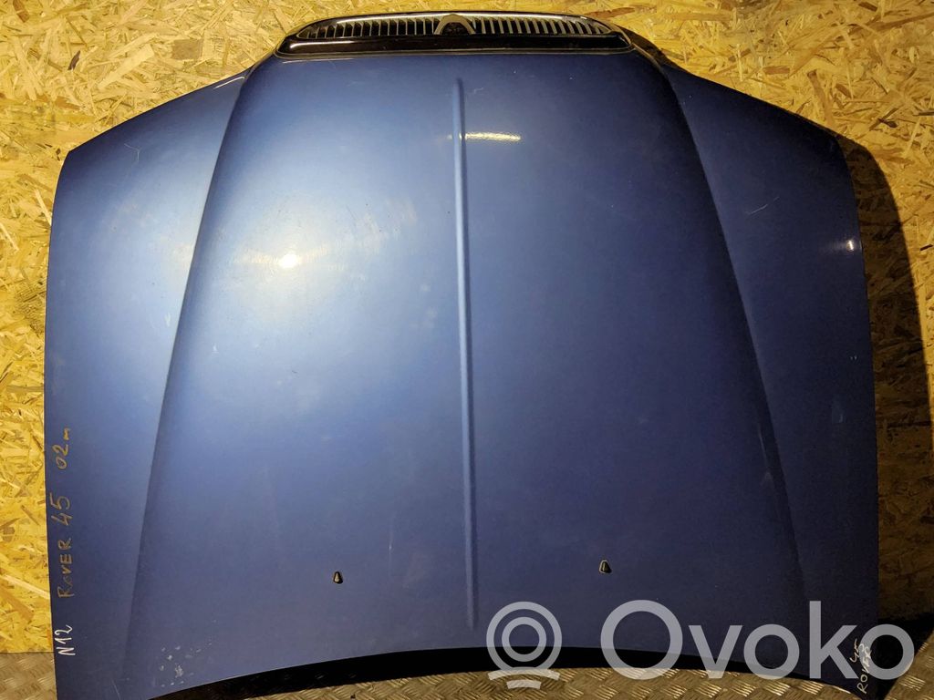 Engine bonnet/hood