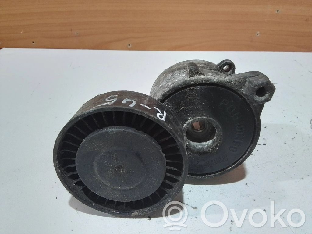 Rover 45 Valytuvų apdaila (-os) 