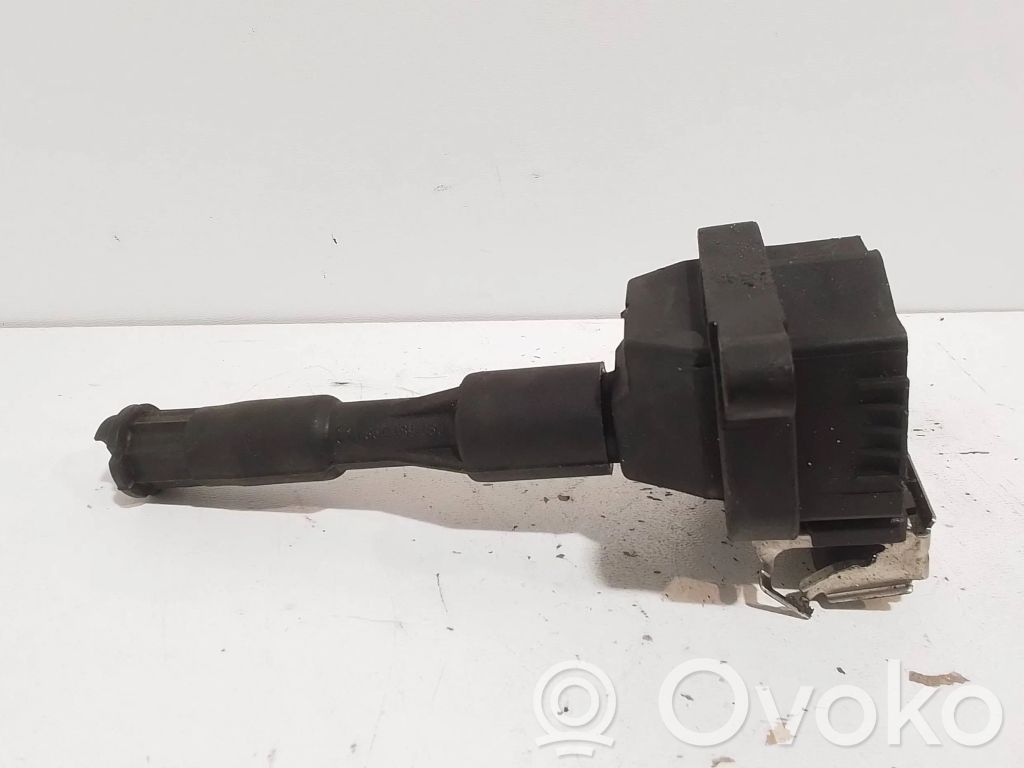 High voltage ignition coil   1703227,0221504004,12131703228,12131703825,12131748017,12131748018,12137599219,12139067830,1748017,1748018,7599219,LR022494,NEC101000L