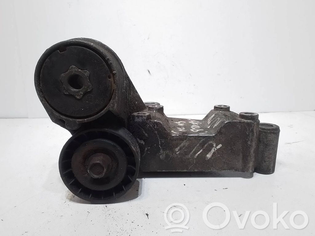 Ford Focus Diržo įtempėjas 