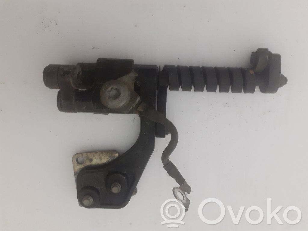 BMW 3 E46 Bisagra del maletero/compartimento de carga 
