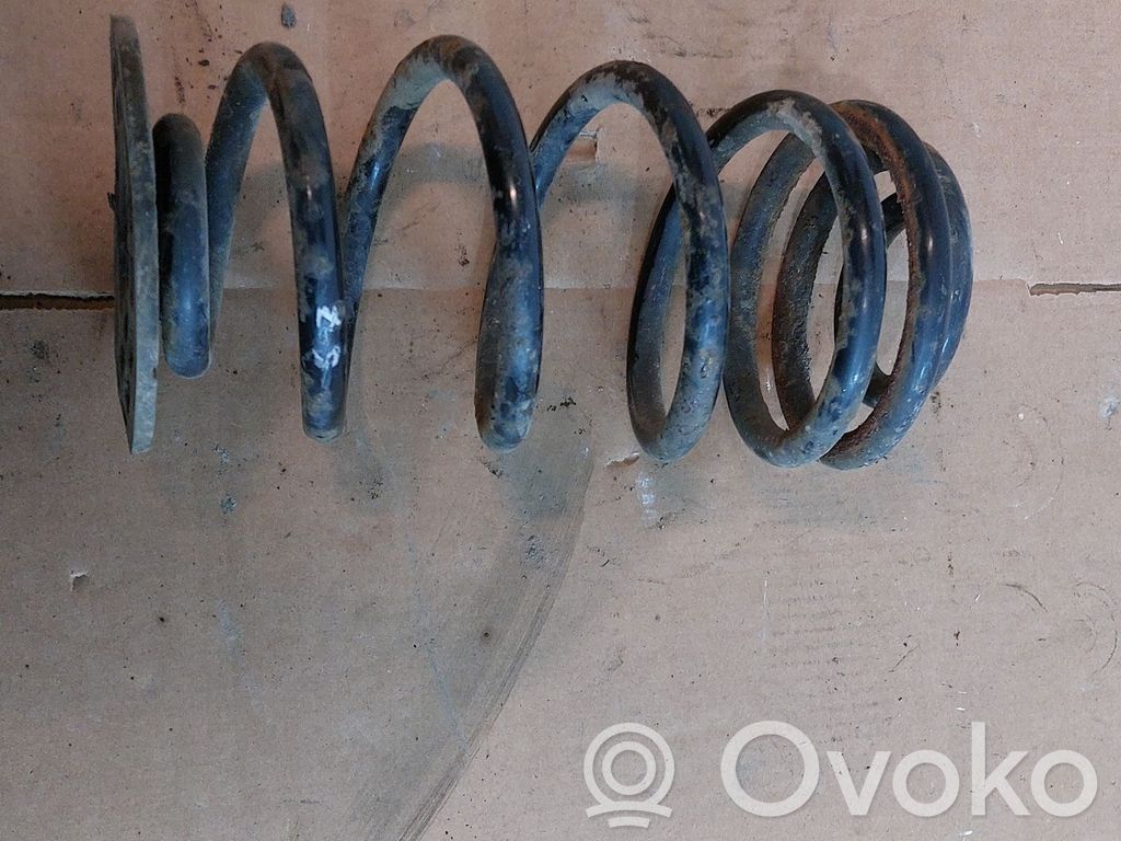 Rear coil spring