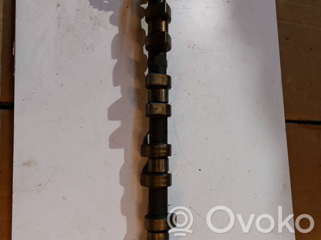 Sadales vārpsta   1745497