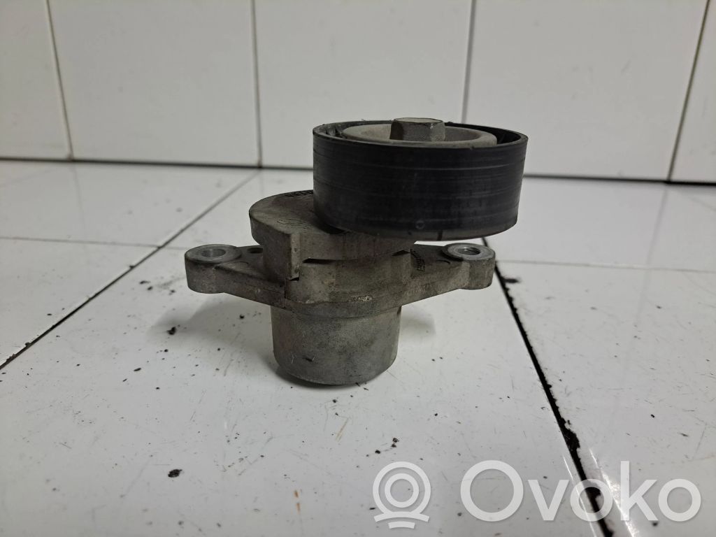 Citroen Berlingo Tendicinghia generatore/alternatore 