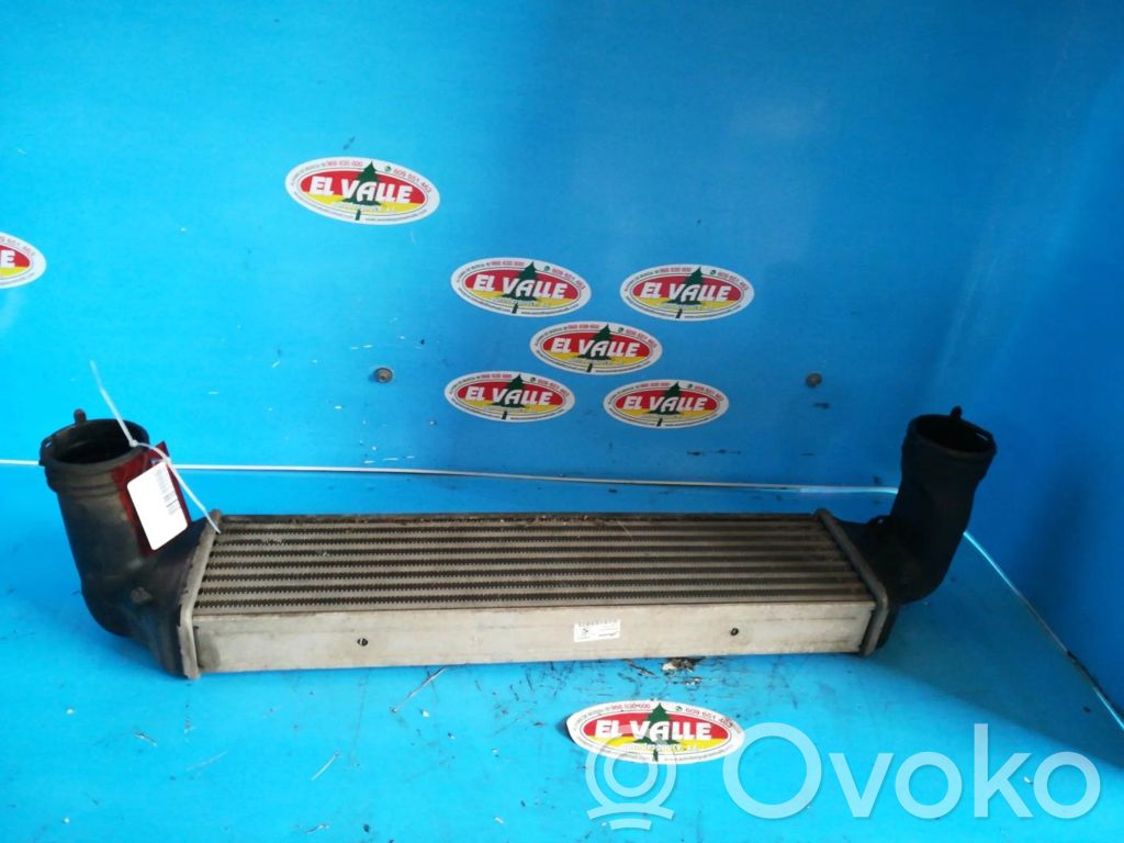 Intercooler radiator   17517793370