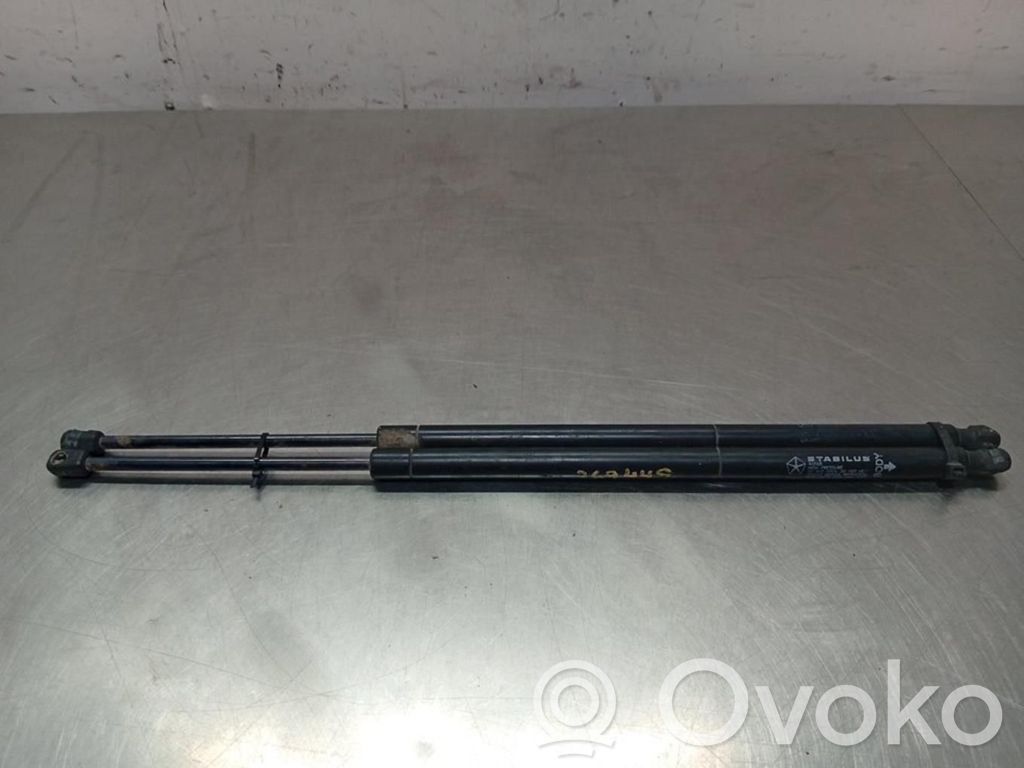 Chrysler Voyager Tailgate/trunk strut/damper 