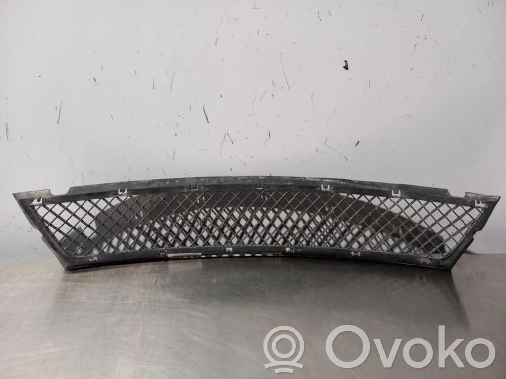 Alpina B3 E46 Front grill 