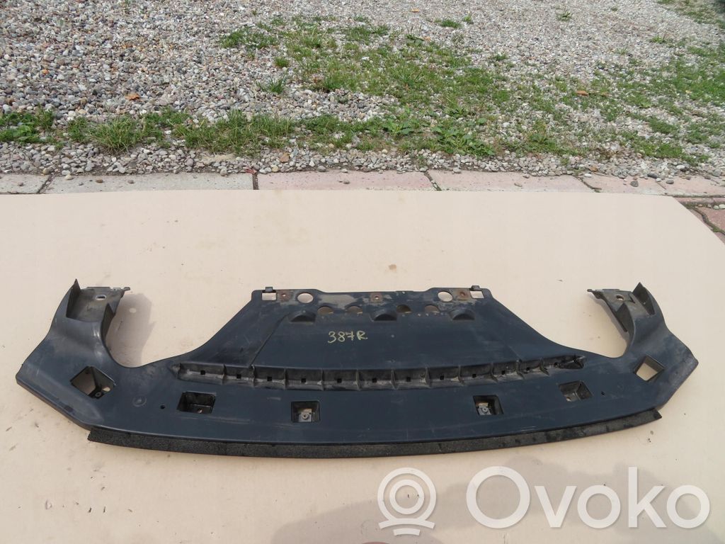 Placa protectora/plataforma del parachoques delantero