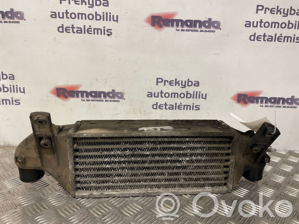 Ford Focus Starpdzesētāja radiators 