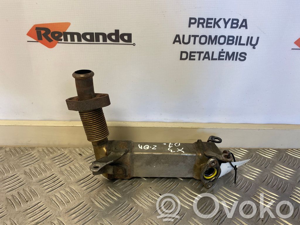 BMW X3 E83 EGR aušintuvas 