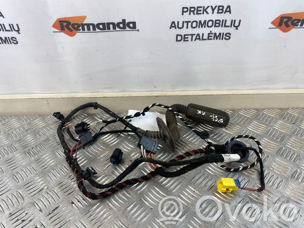 Volkswagen PASSAT CC Cableado de puerta delantera 
