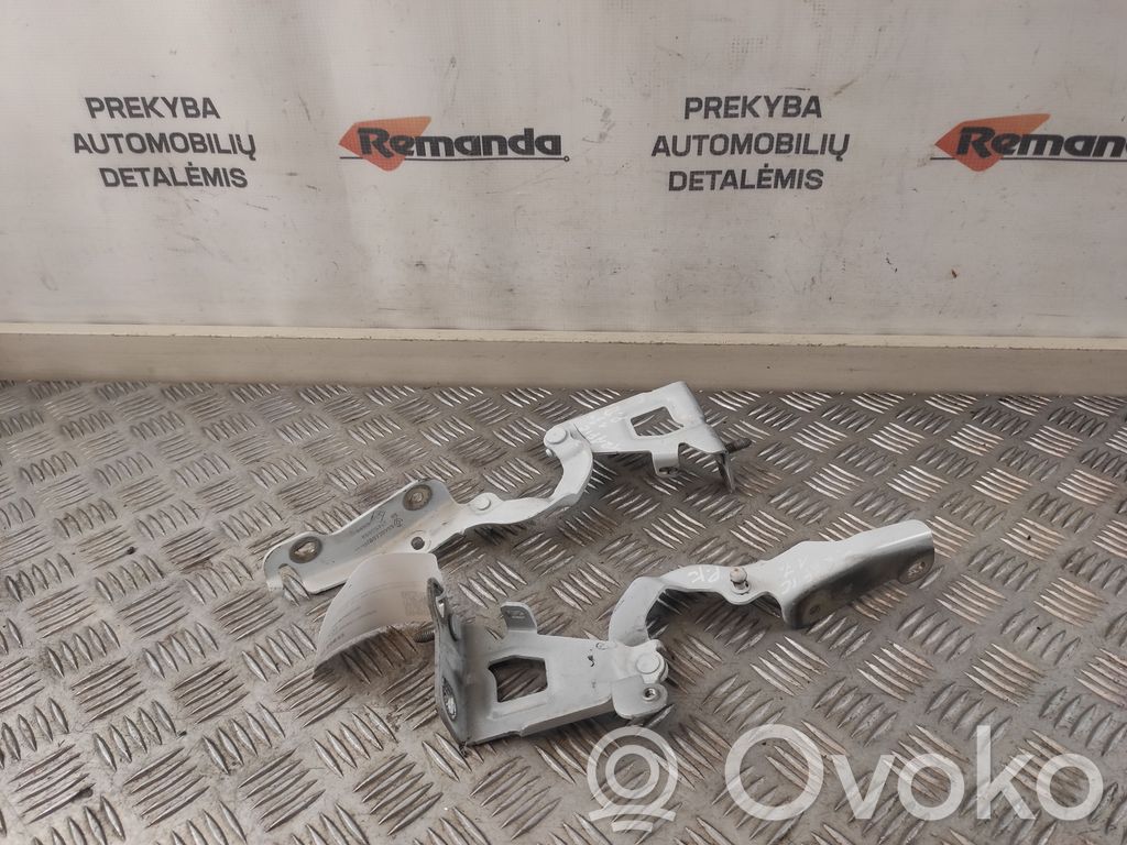 Renault Trafic III (X82) Zawiasy pokrywy / maski silnika 