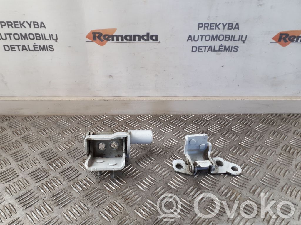 Renault Zoe Rear door hinge set 