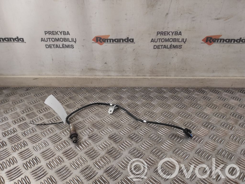 Sonda lambda   LX619G444BB,LX619G444BB