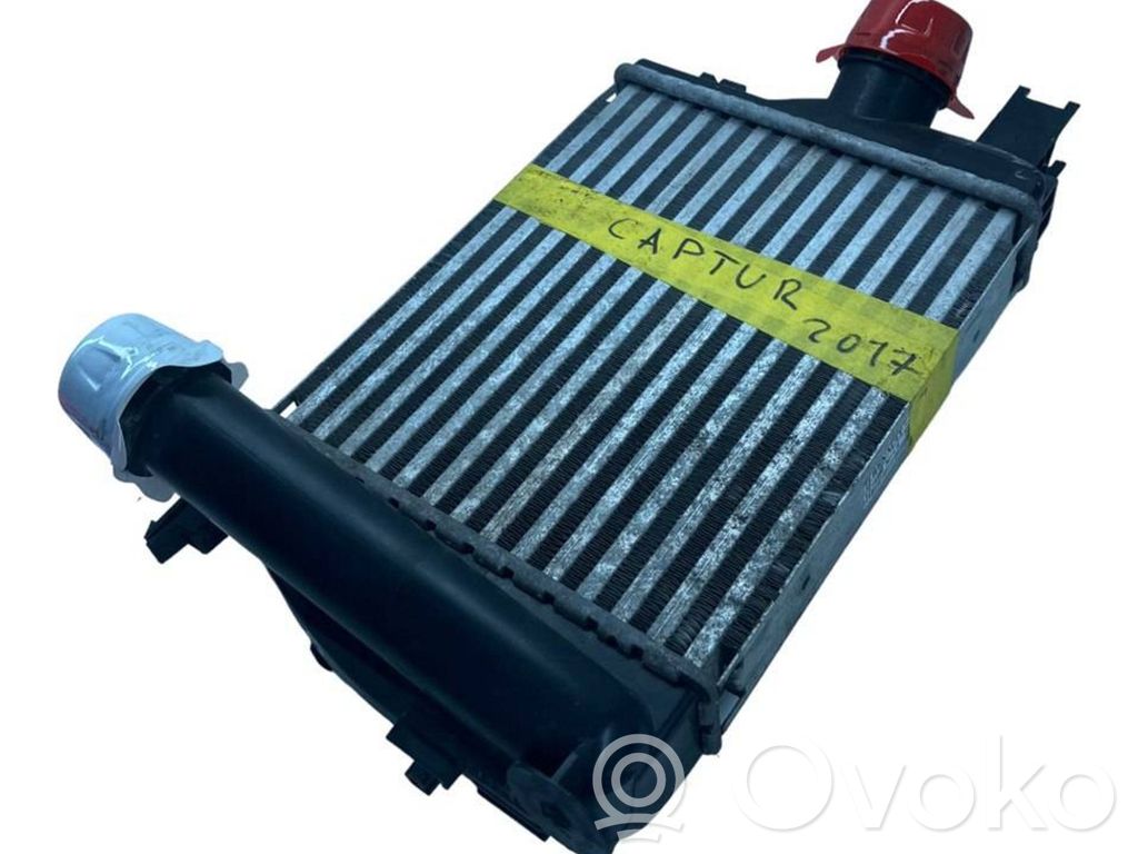 Intercooler radiator   144963014R,144618680R,270116064832,4881517