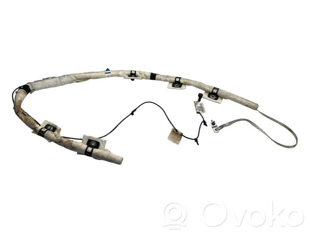 Airbag del techo   BAMPT11624