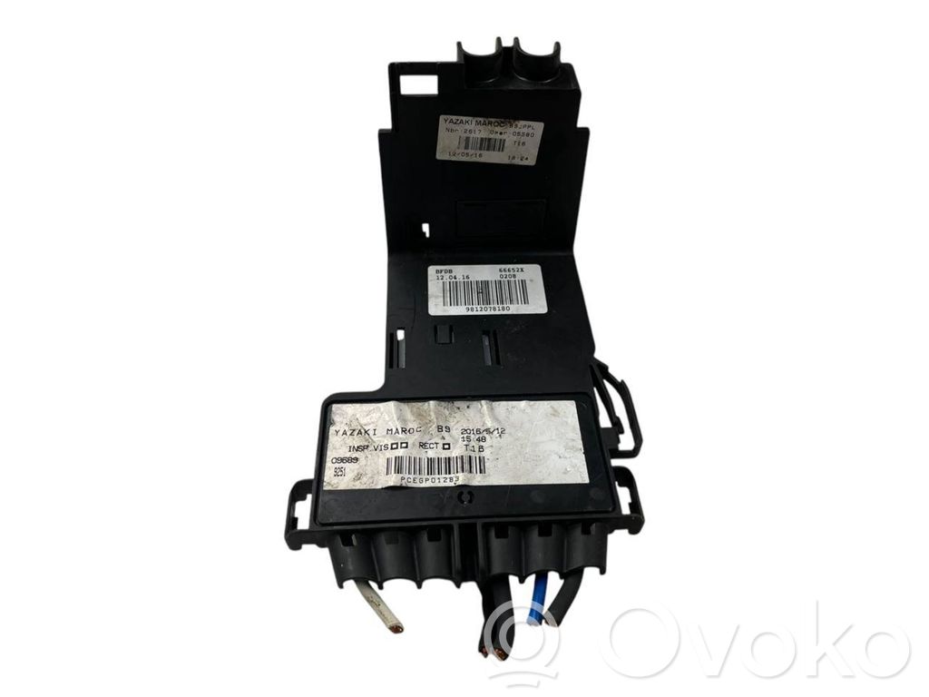 Peugeot Partner Fuse module 