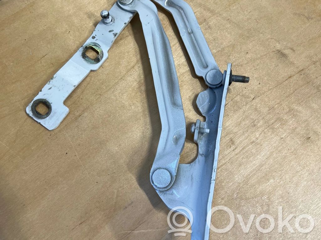 Tesla Model 3 Tailgate/trunk/boot hinge 
