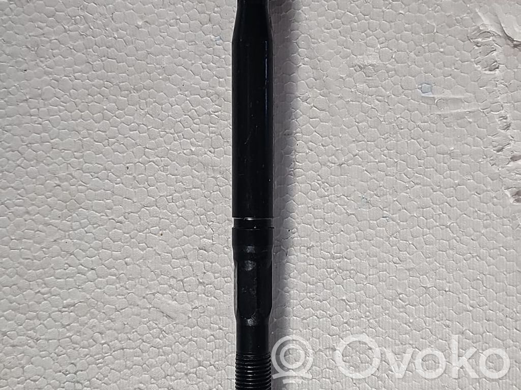 Tesla Model 3 Vairo traukė 