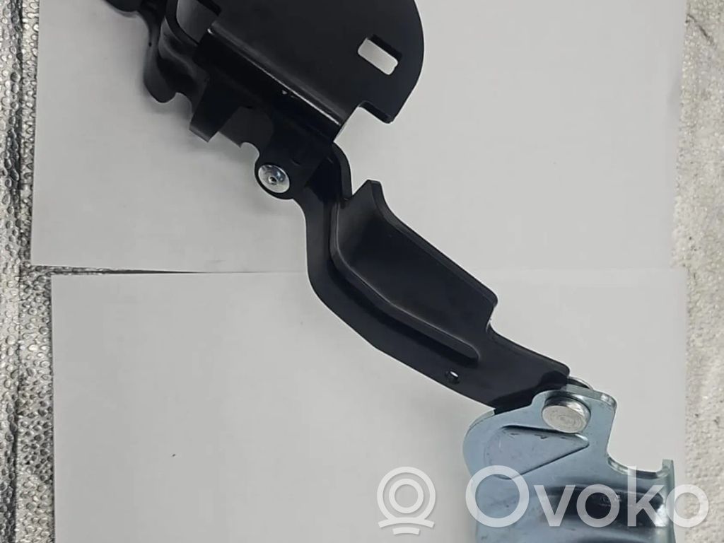 Tesla Model 3 Dzinēja pārsega eņģe (-es) 