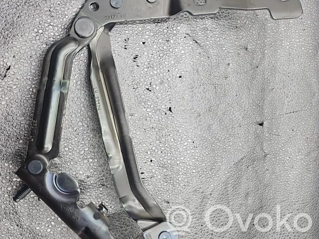 Tesla Model 3 Tailgate/trunk/boot hinge 