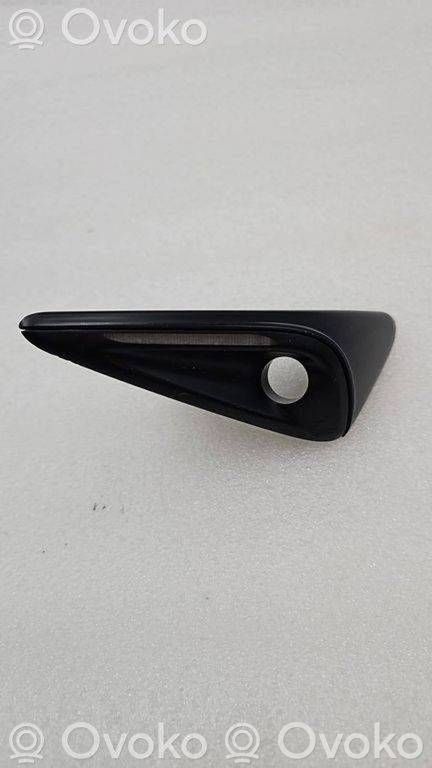 Tesla Model Y Seitenblinker 