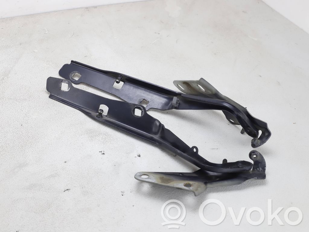 Dodge RAM 1500 DS Engine bonnet/hood hinges 