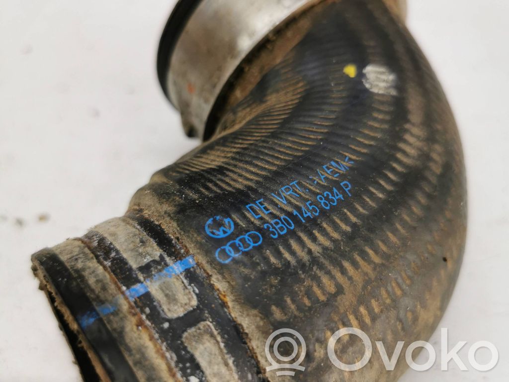 Volkswagen PASSAT B5.5 Interkūlerio žarna (-os)/ vamzdelis (-iai) 