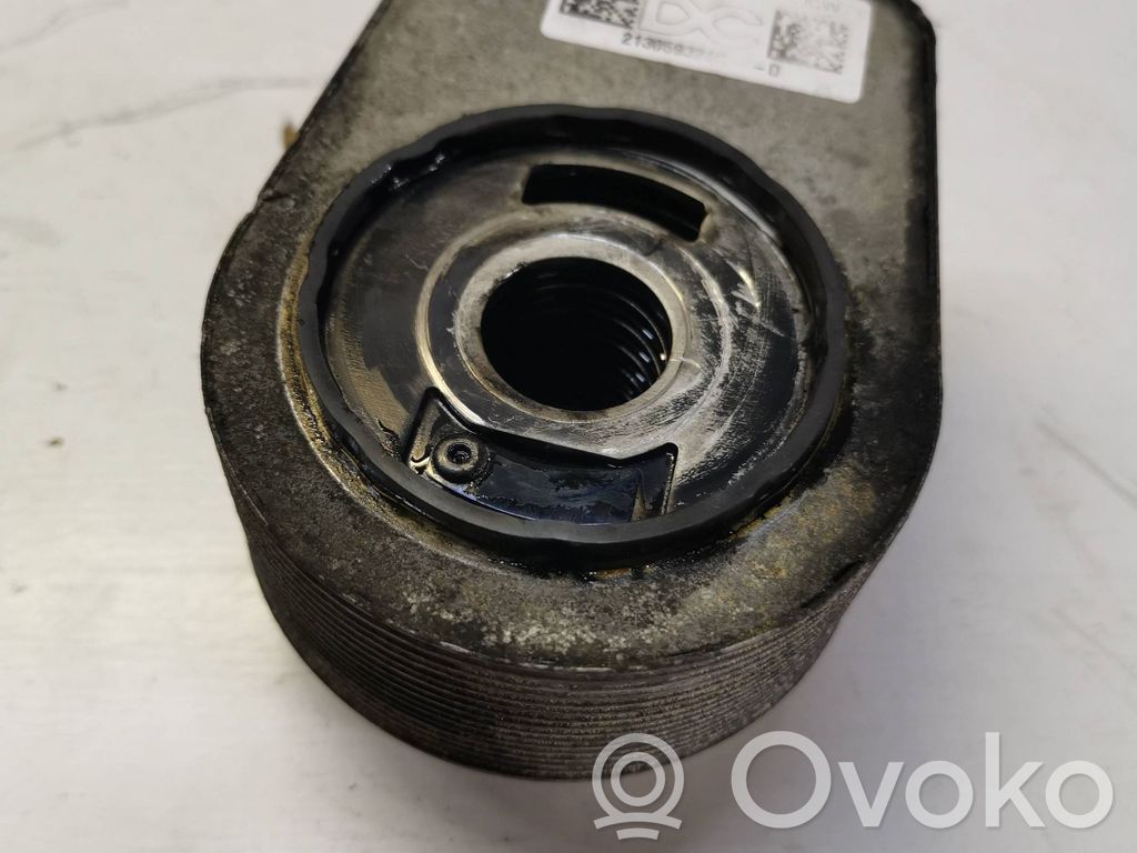 Renault Megane IV Mocowanie / uchwyt filtra oleju 