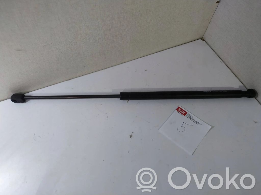 Tailgate/trunk strut/damper   GS0758