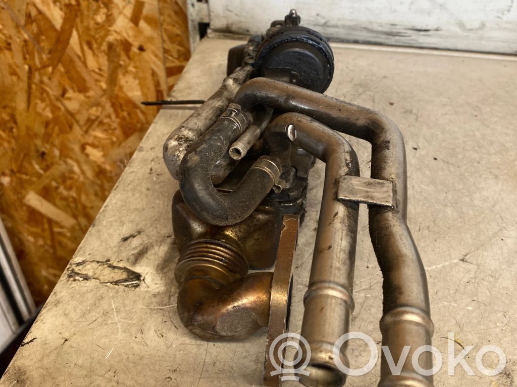 Volkswagen Phaeton Răcitor supapă EGR 