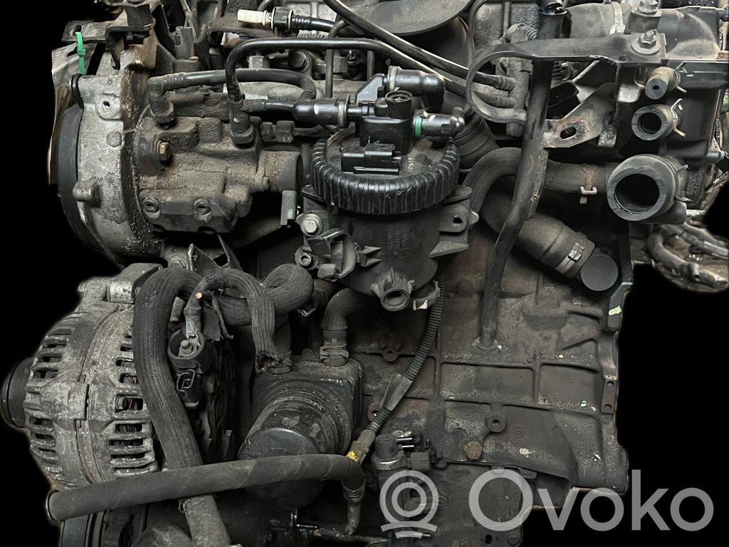 Motor   0135FS