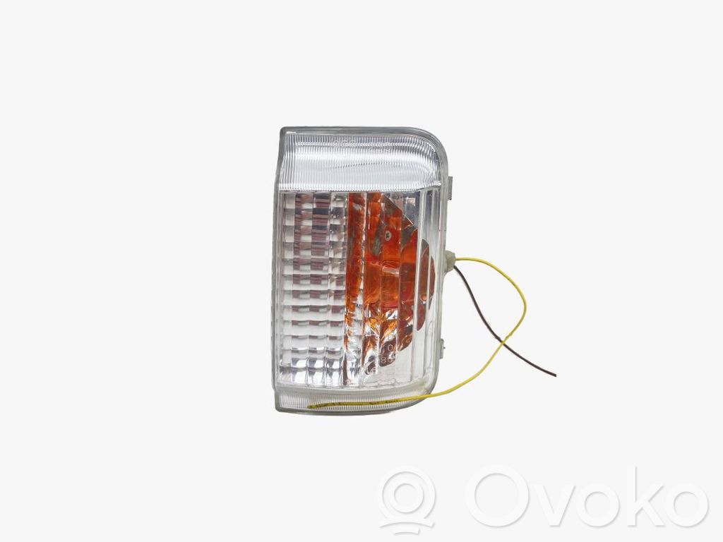 Fiat Ducato Mirror indicator light 
