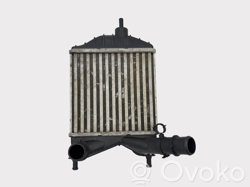 Interkūlerio radiatorius   46836770,51802117