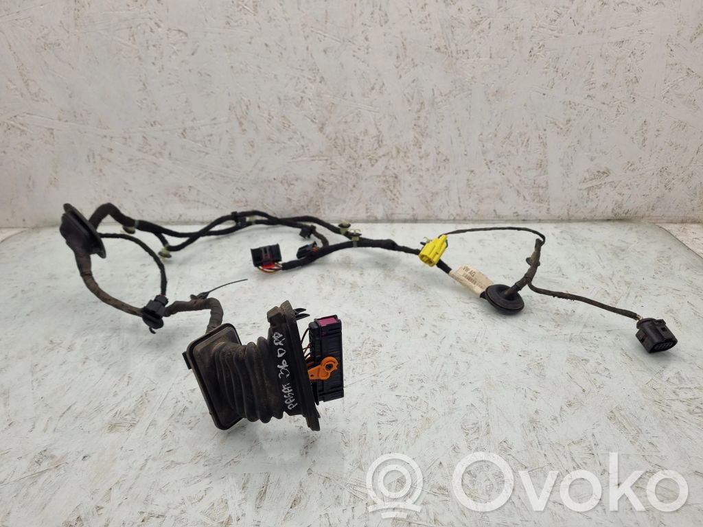 Volkswagen PASSAT B6 Cablaggio porta anteriore 