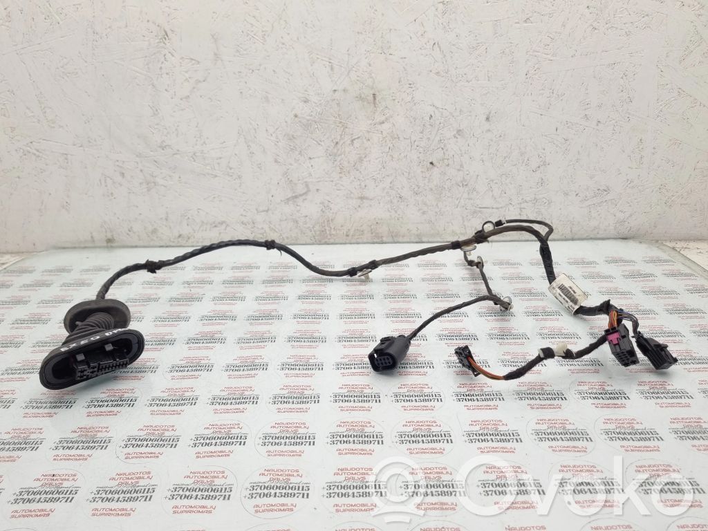 Seat Exeo (3R) Cableado de puerta trasera 