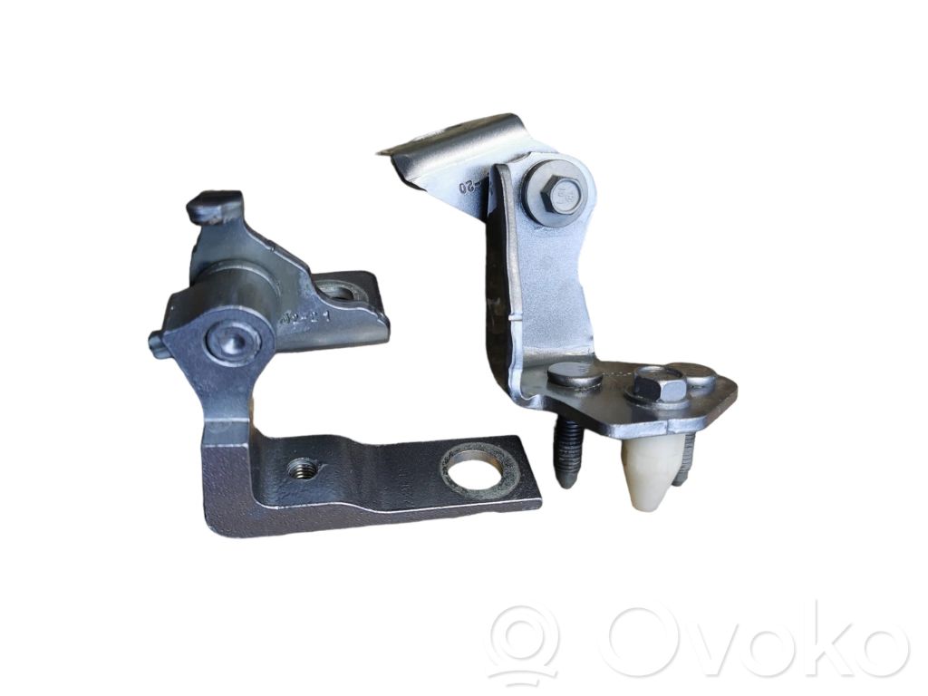 Ford Mustang Mach-E Rear door hinge set 