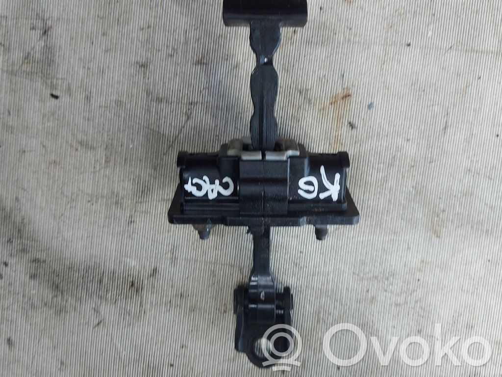 Citroen C4 Cactus Rear door check strap stopper 