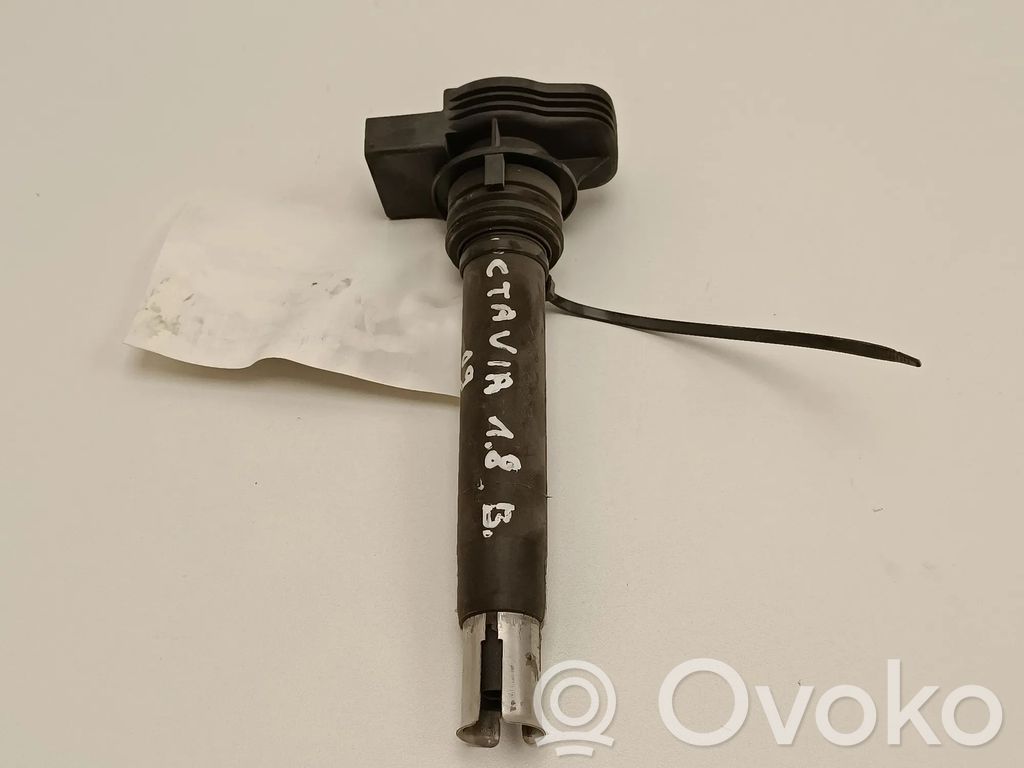 Skoda Octavia Mk2 (1Z) High voltage ignition coil 