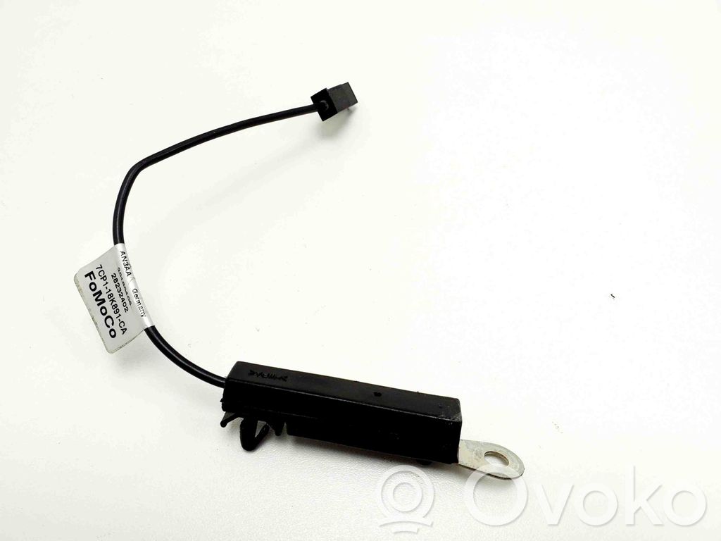 Antenos stiprintuvas   7CP118K891CA,28232402