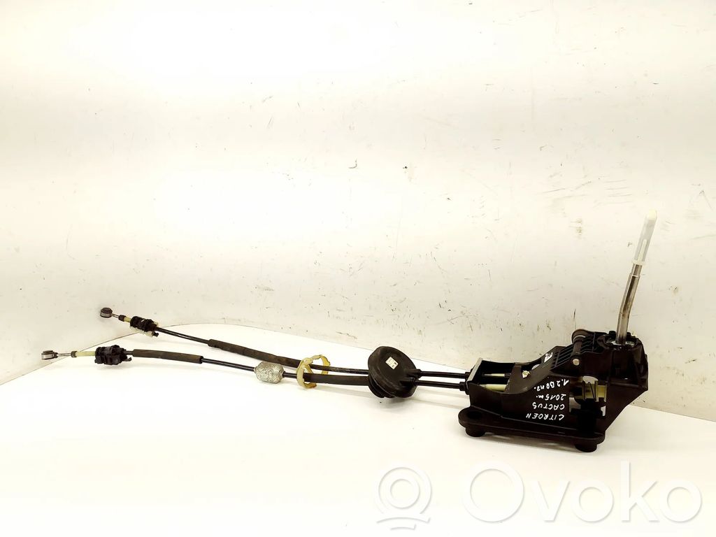 Selector caja de cambios   JT55,1000413815
