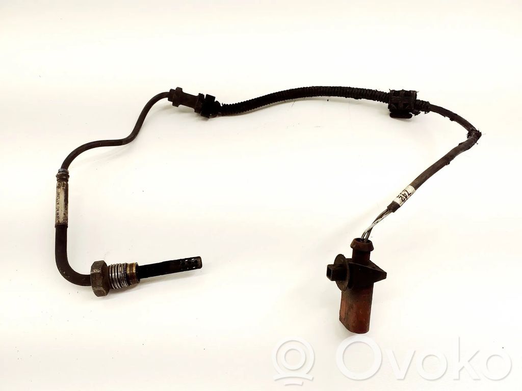 Skoda Rapid (NH) Exhaust gas temperature sensor 