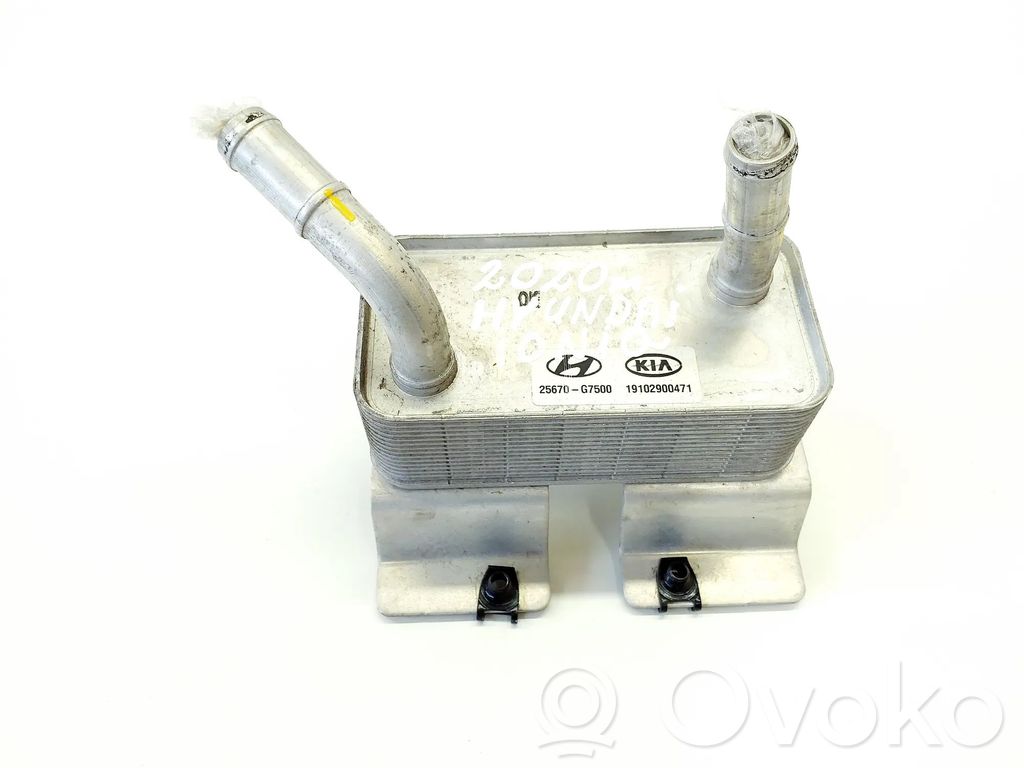 Hyundai Ioniq Air conditioning (A/C) air dryer 