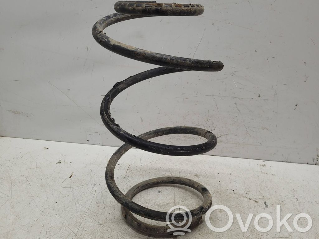 Front coil spring