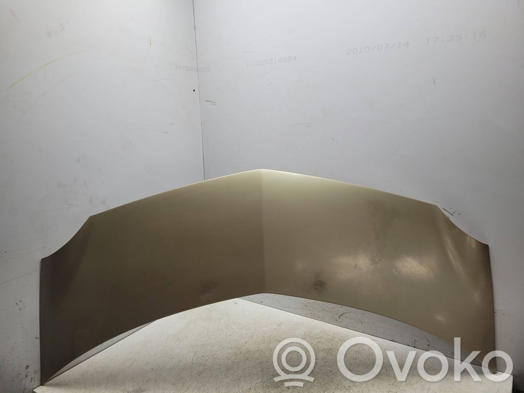 Engine bonnet/hood