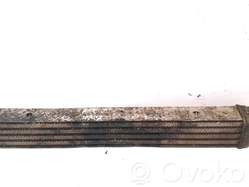 Papildomas radiatorius   4729620