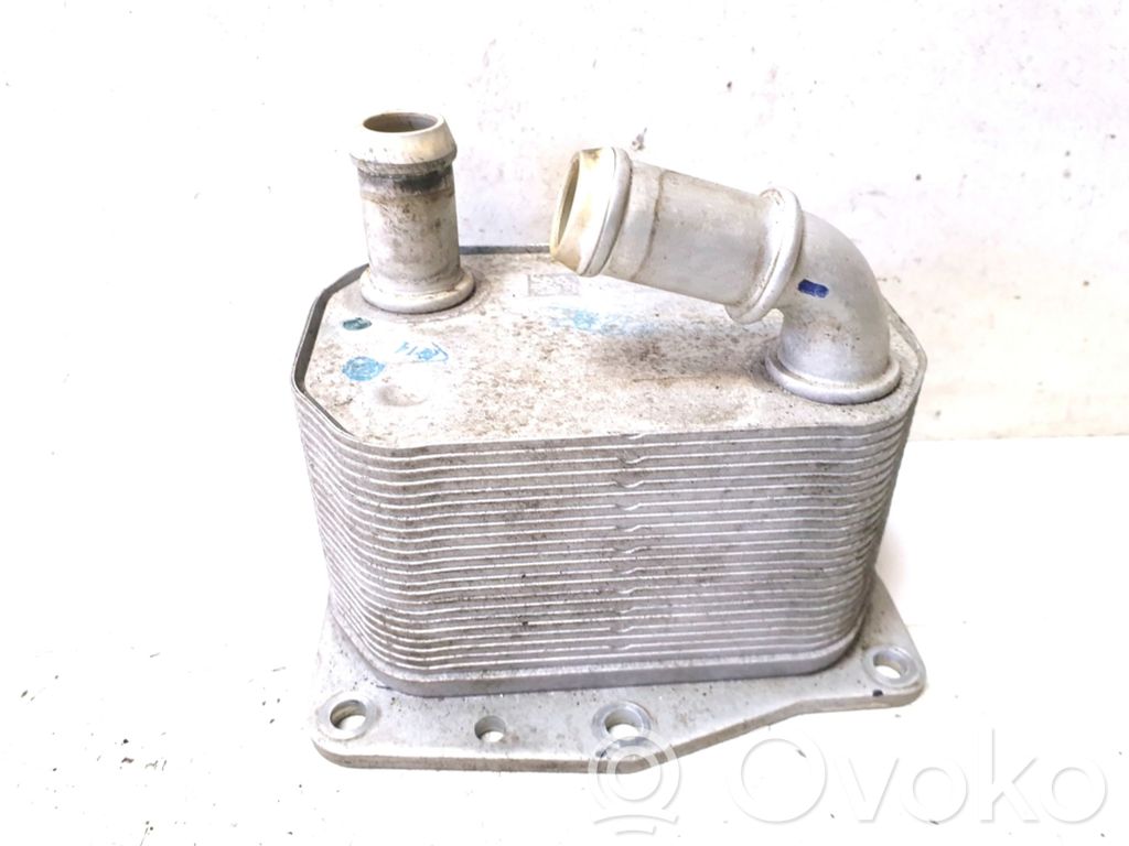 Oil filter mounting bracket