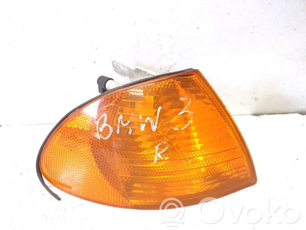 BMW 3 E46 Front fender indicator light 